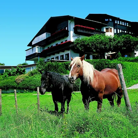 Aldranser Hof 2* Aldrans